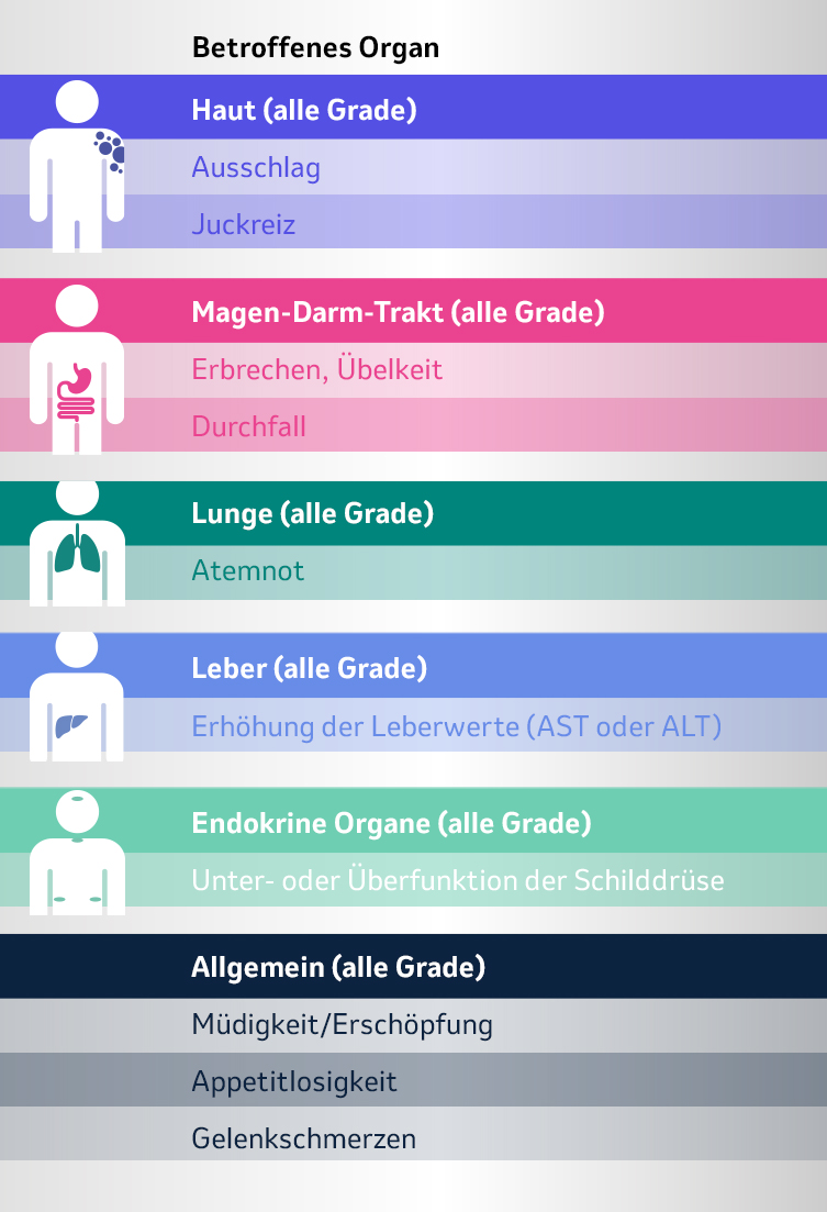 Mögliche immunvermittelte Nebenwirkungen unter Checkpoint-Inhibitoren