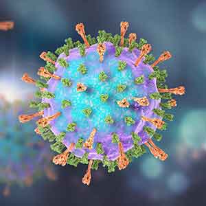 Mumps