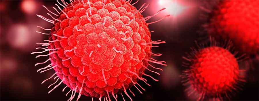 Zu sehen sind rote Varizella-Zoster-Viruspartikel, den Erregern der Windpocken, vor einem schwarzen Hintergrund 