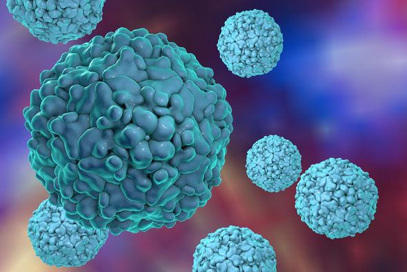 Poliomyelitis (Kinderlähmung)-Viruspartikel