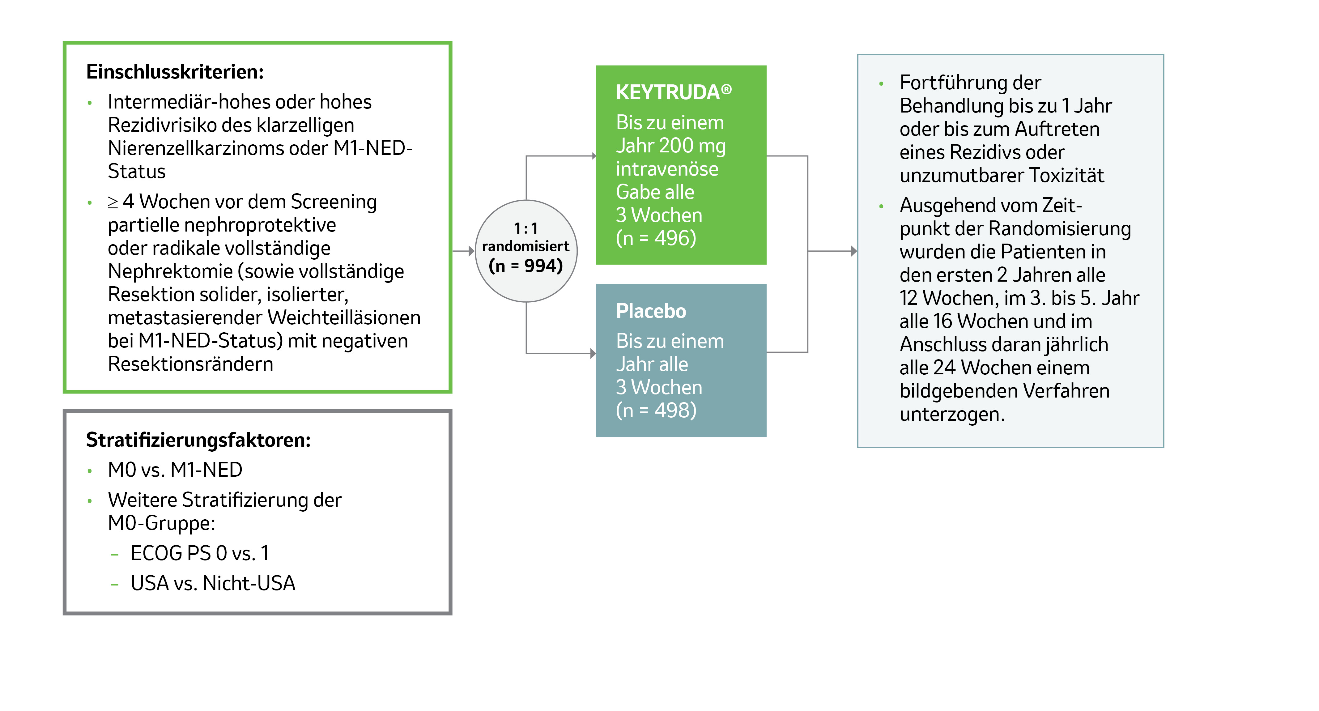 Die Abbildung zeigt das Studiendesign der multizentrischen, randomisierten und doppelblinden, Placebo-kontrollierten Phase-III-Studie KEYNOTE-564, welche KEYTRUDA® vs. Placebo bei Patienten mit RCC zur adjuvanten Behandlung nach Nephrektomie oder nach Nephrektomie und Resektion metastasierter Läsionen verglich. Dem Schema sind die Anzahl der Teilnehmer und die Art der Therapie der beiden Behandlungsarme zu entnehmen. Modifiziert von MSD nach Daten der Fachinformation.1