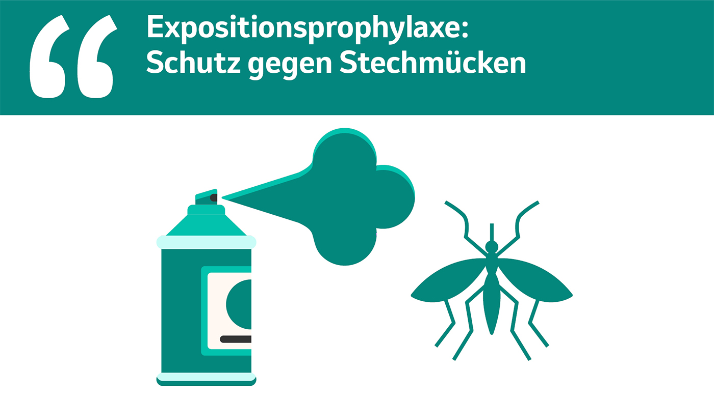 Expositionsprophylaxe:Schutz gegen Stechmücken.