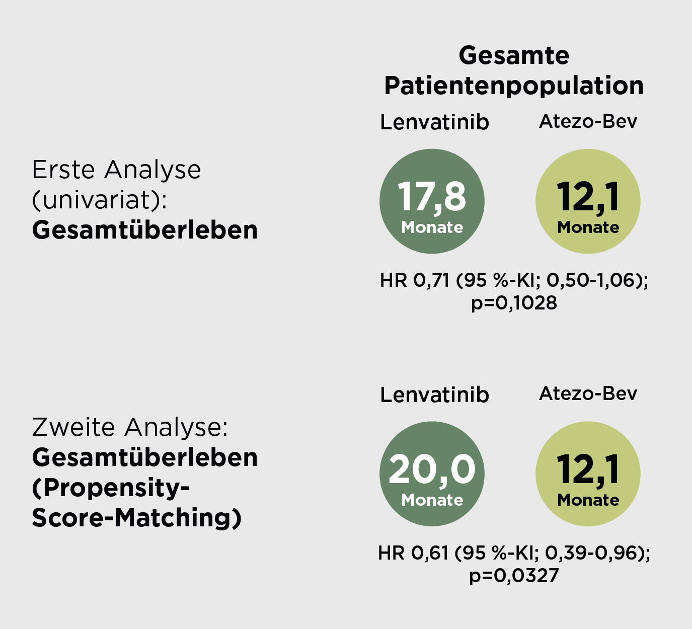 Darstellung zum Gesamtüberleben der Patientenpopulation