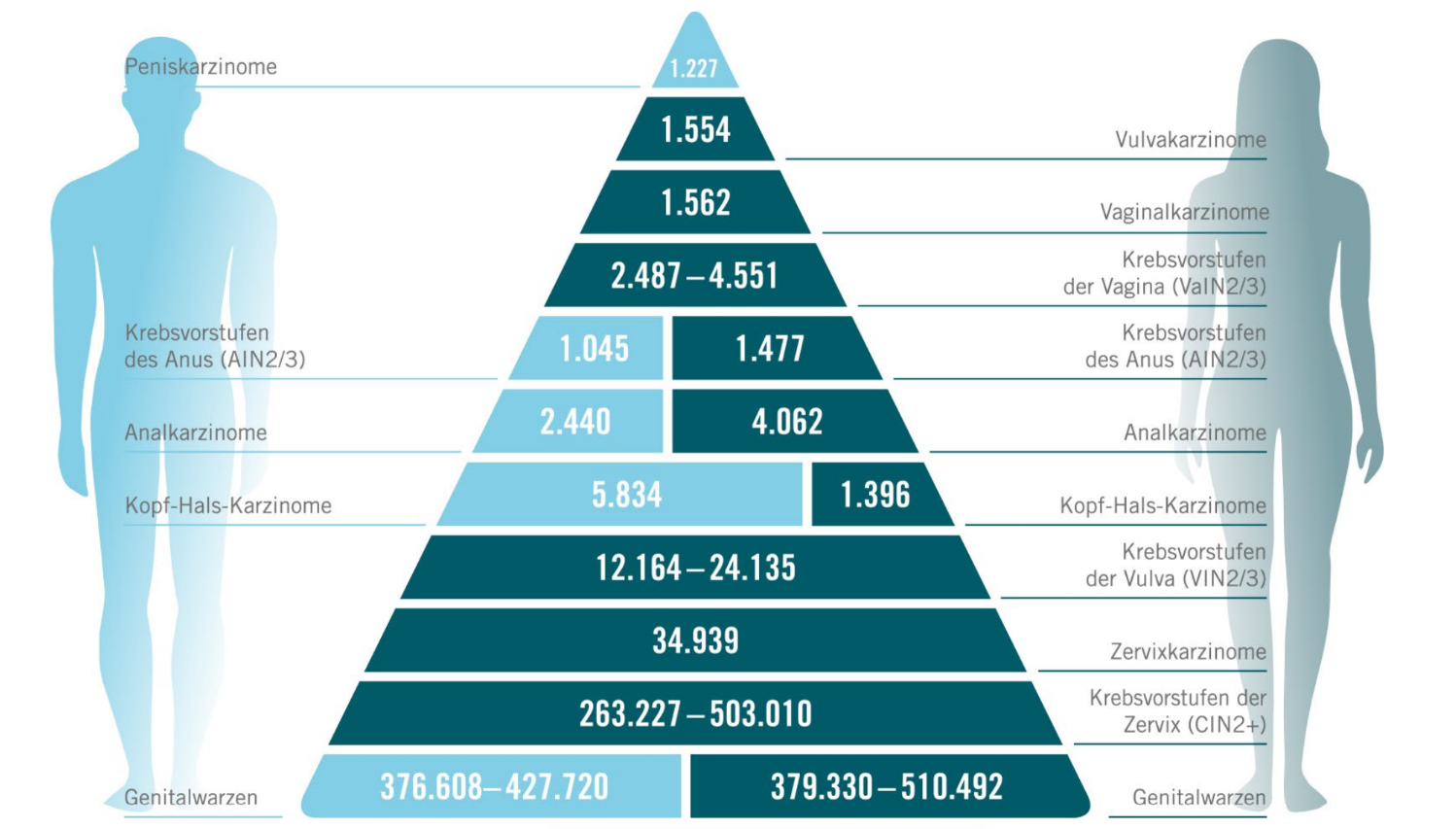  Abbildung 2: Diagramm zur Schätzung der Inzidenzraten, basierend auf Daten der International Agency for Research on Cancer (IARC), Eurostat-Bevölkerungsdaten und weiteren Quellen. Modifizierte Darstellung von MSD nach Hartwig S et al., 2017.