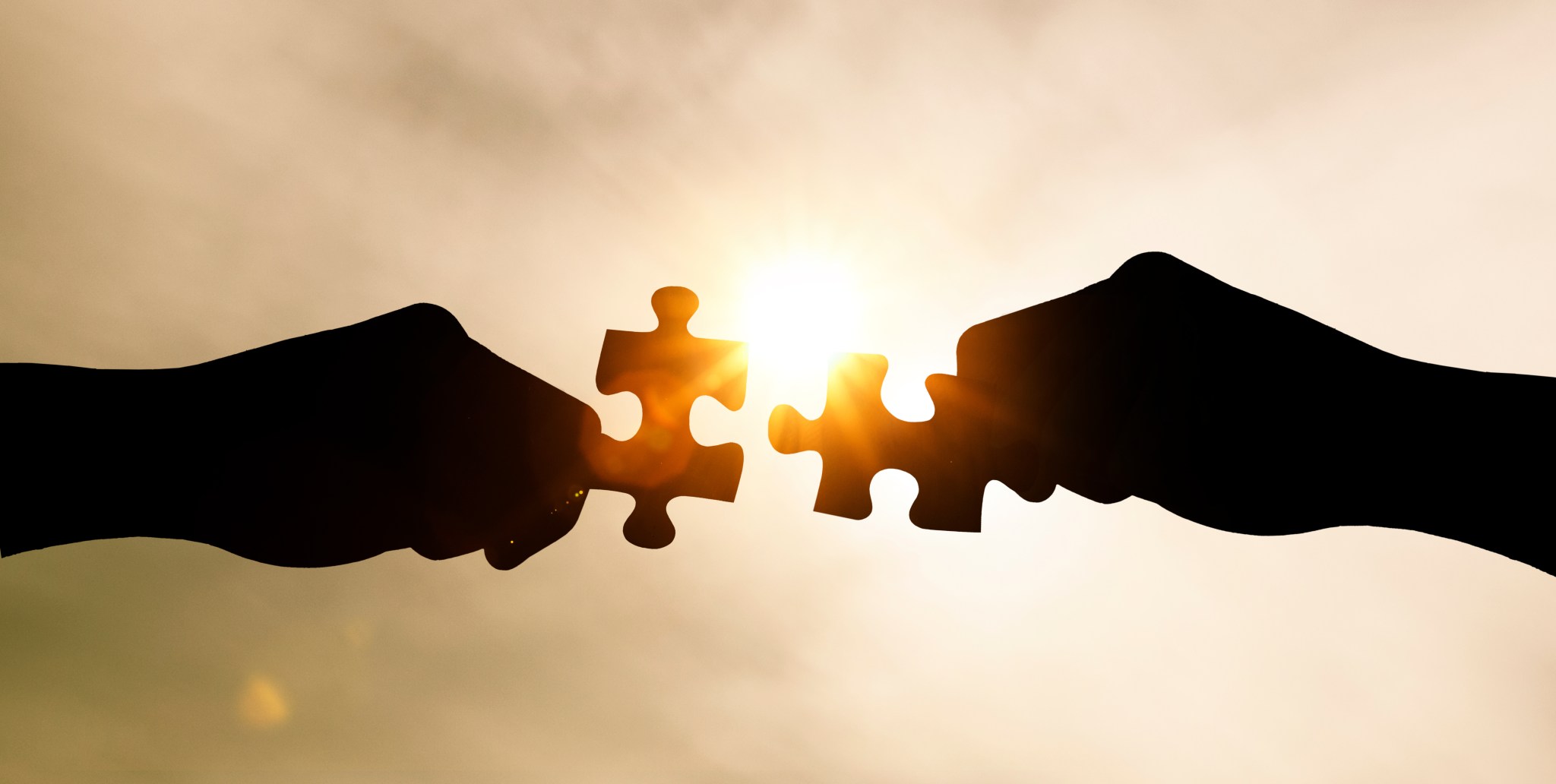Zwei Hände halten jeweils ein Puzzleteil vor die Sonne.