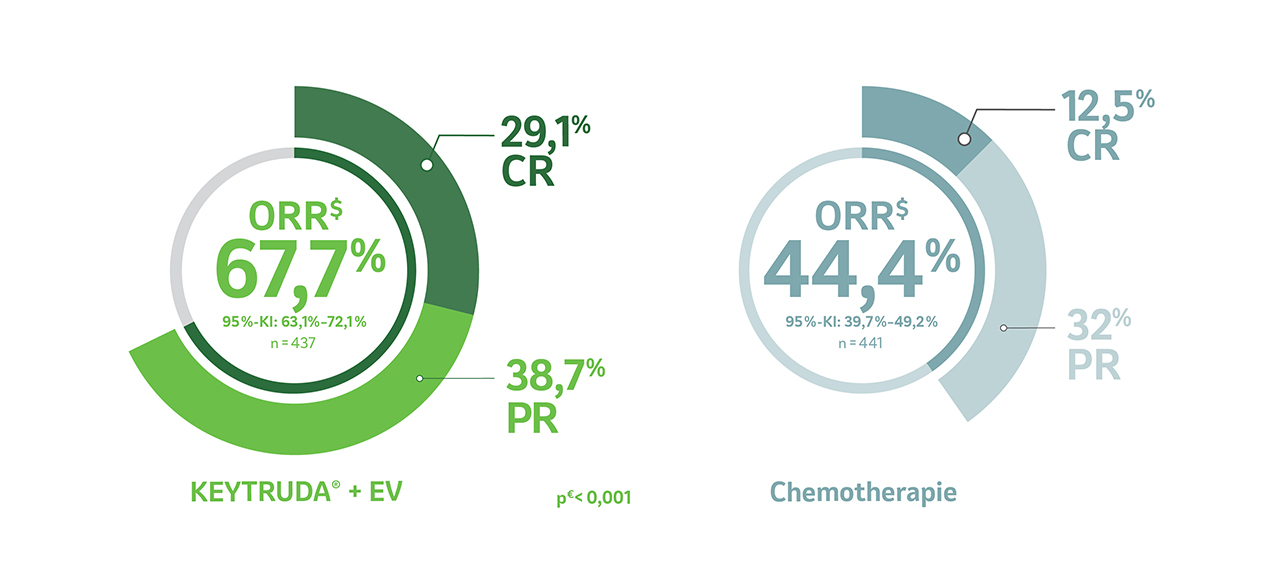 Die Abbildung zeigt die ORR$ (sekundärer Endpunkt) unter KEYTRUDA® + EV vs. platinhaltiger Chemotherapie† in der Studie KEYNOTE-A39 nach einer medianen Nachbeobachtungszeit von 17,2 Monaten für die ITT-Population. Daten von Powles T et al. 2024.1
