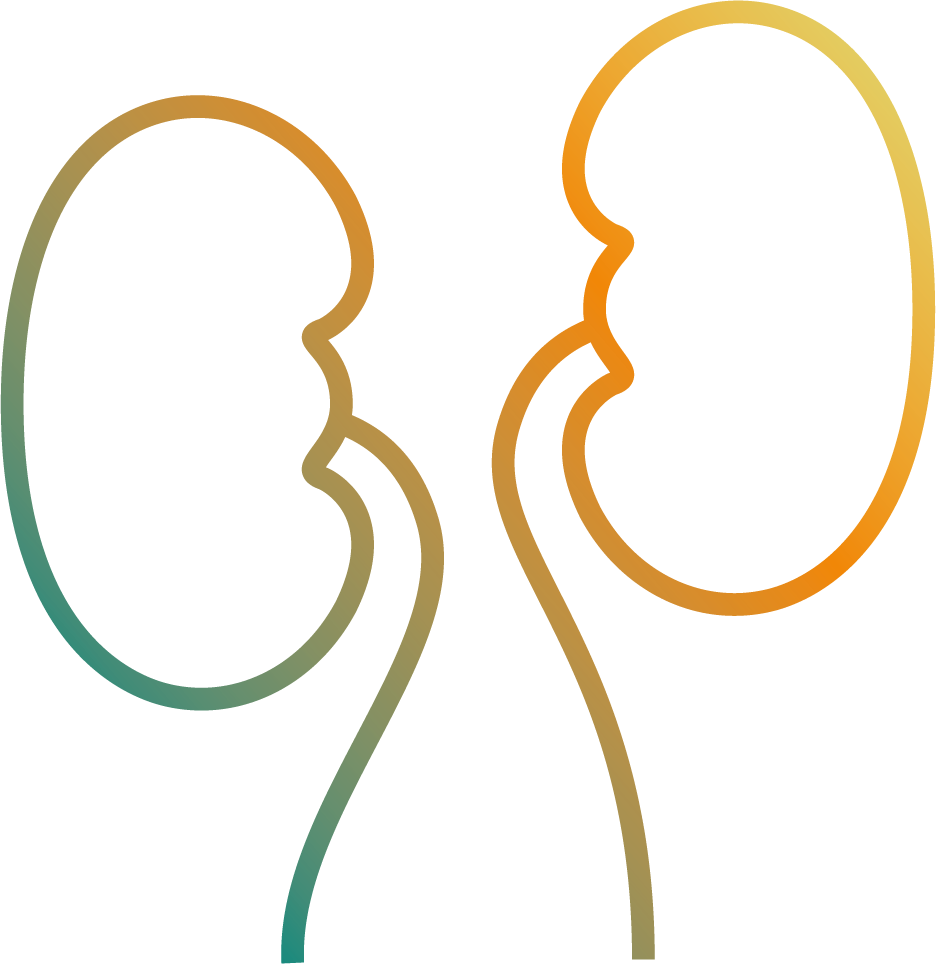 Niere icon for GU Portfolio