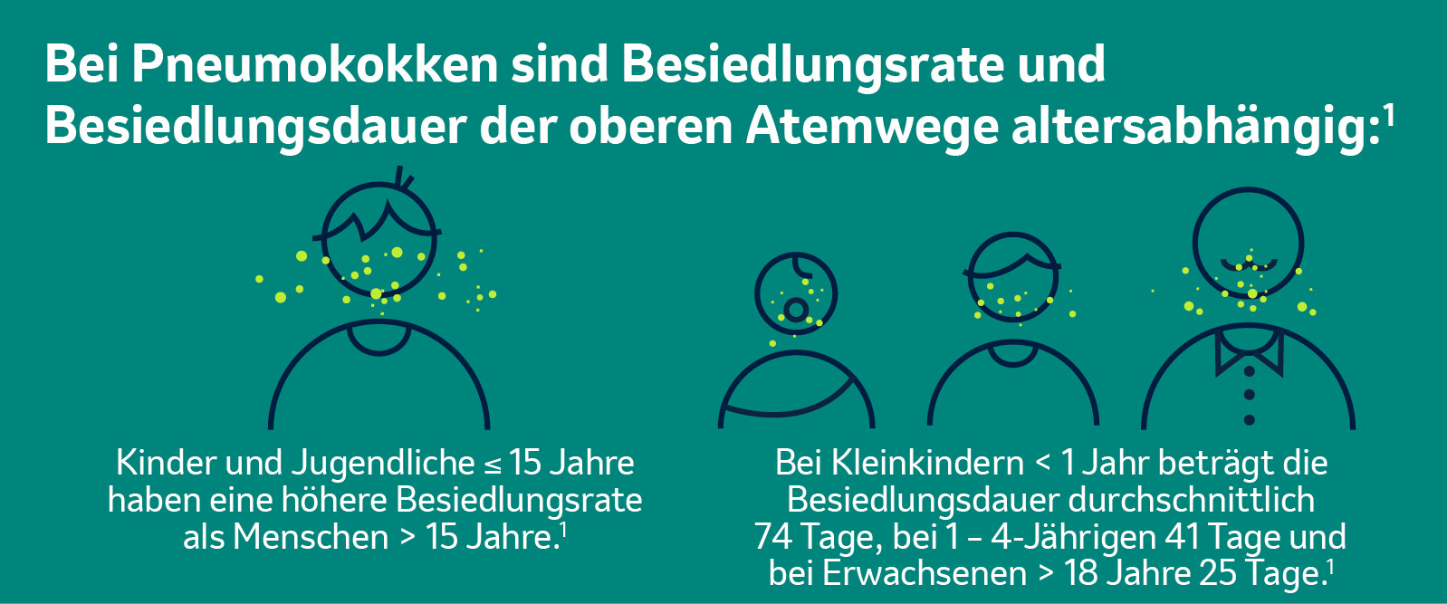 Besiedlungsrate und Besiedlungsdauer der oberen Atemwege durch Pneumokokken variieren altersabhängig.1
