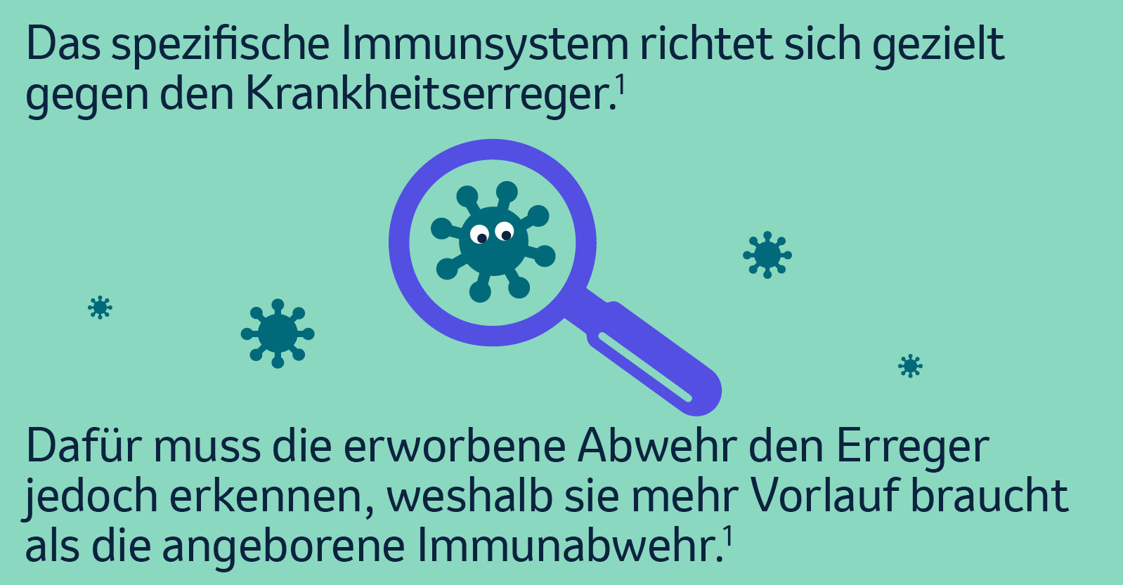 Das spezifische Immunsystem richtet sich gezielt gegen den Krankheitserreger.