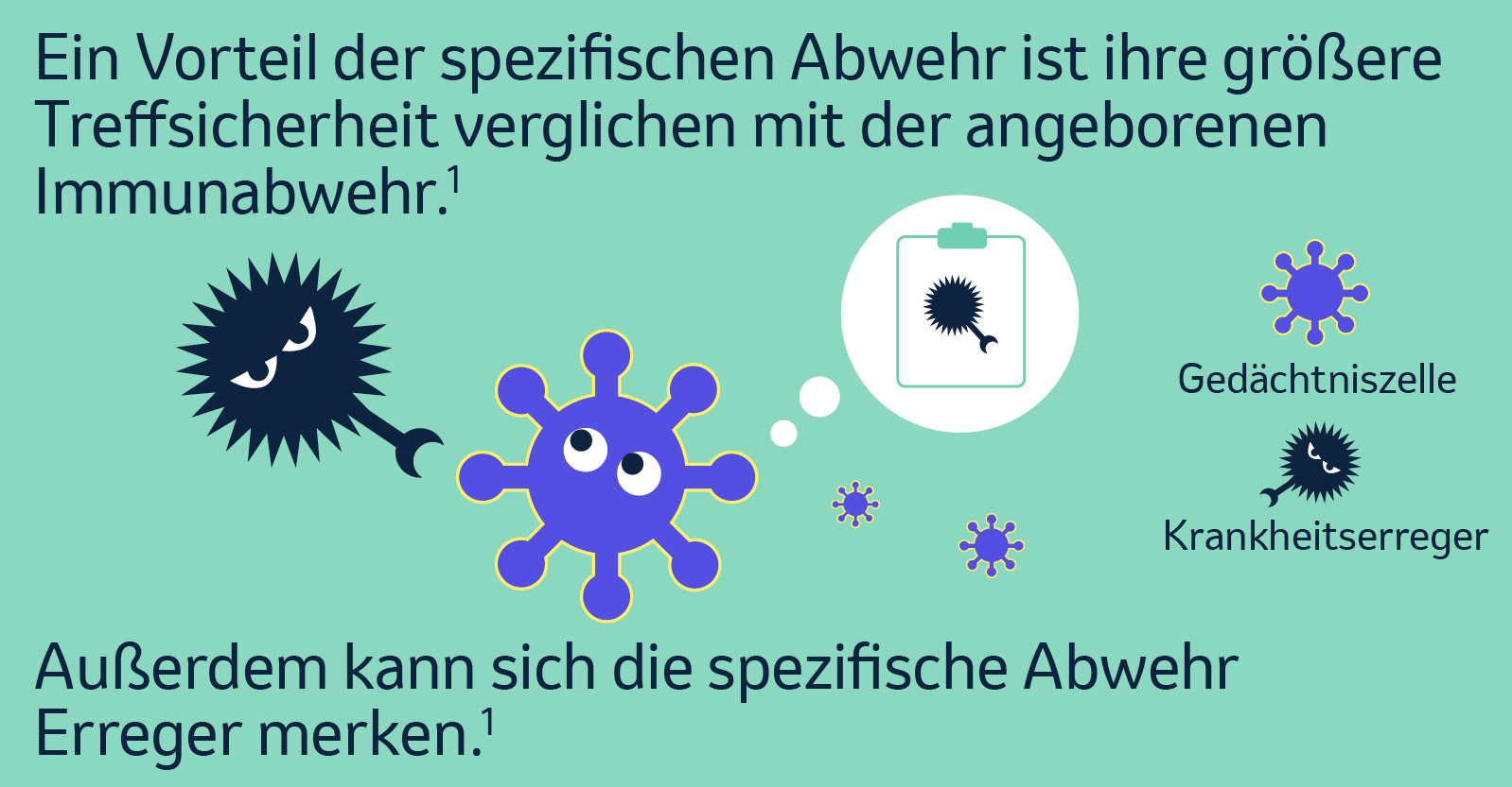 Die spezifische Abwehr kann sich Erreger merken.