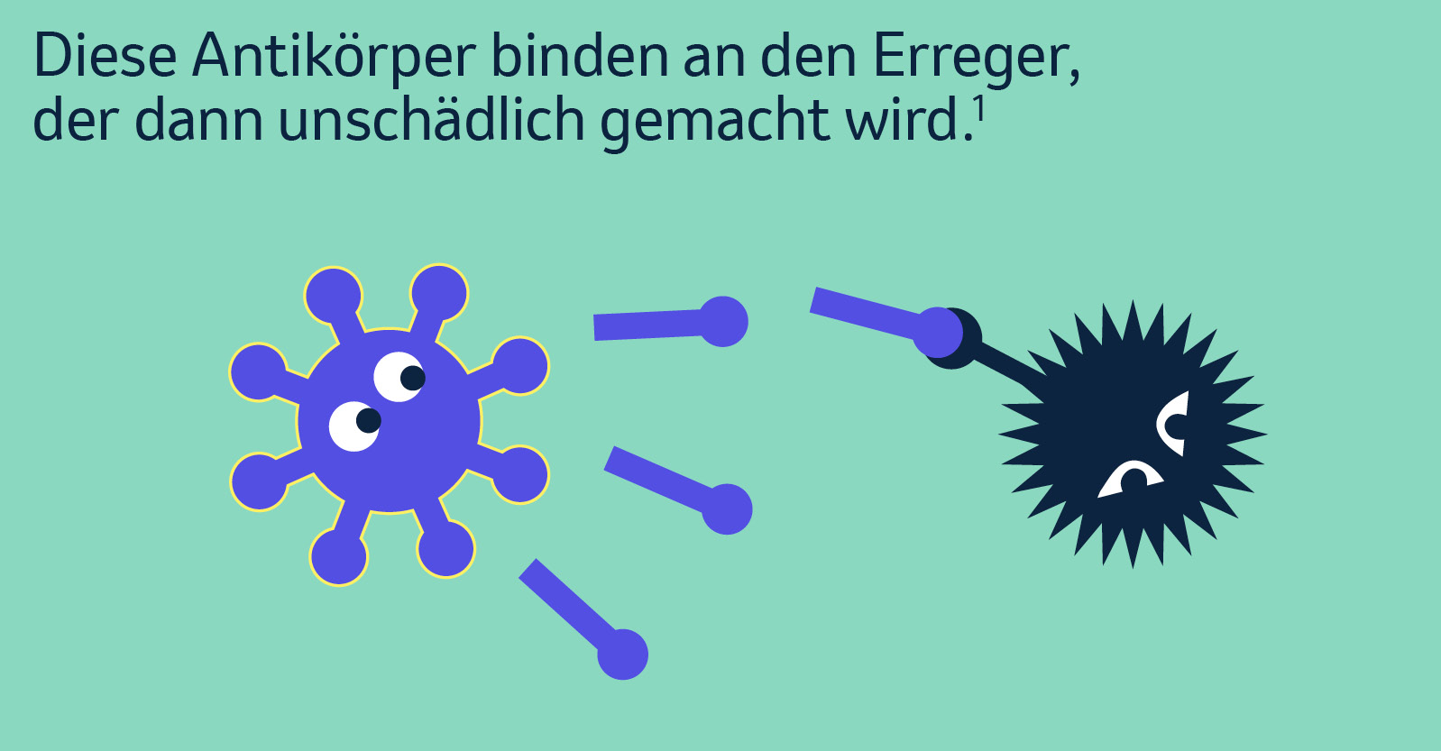 Diese Antikörper binden an den Erreger, der dann unschädlich gemacht wird.