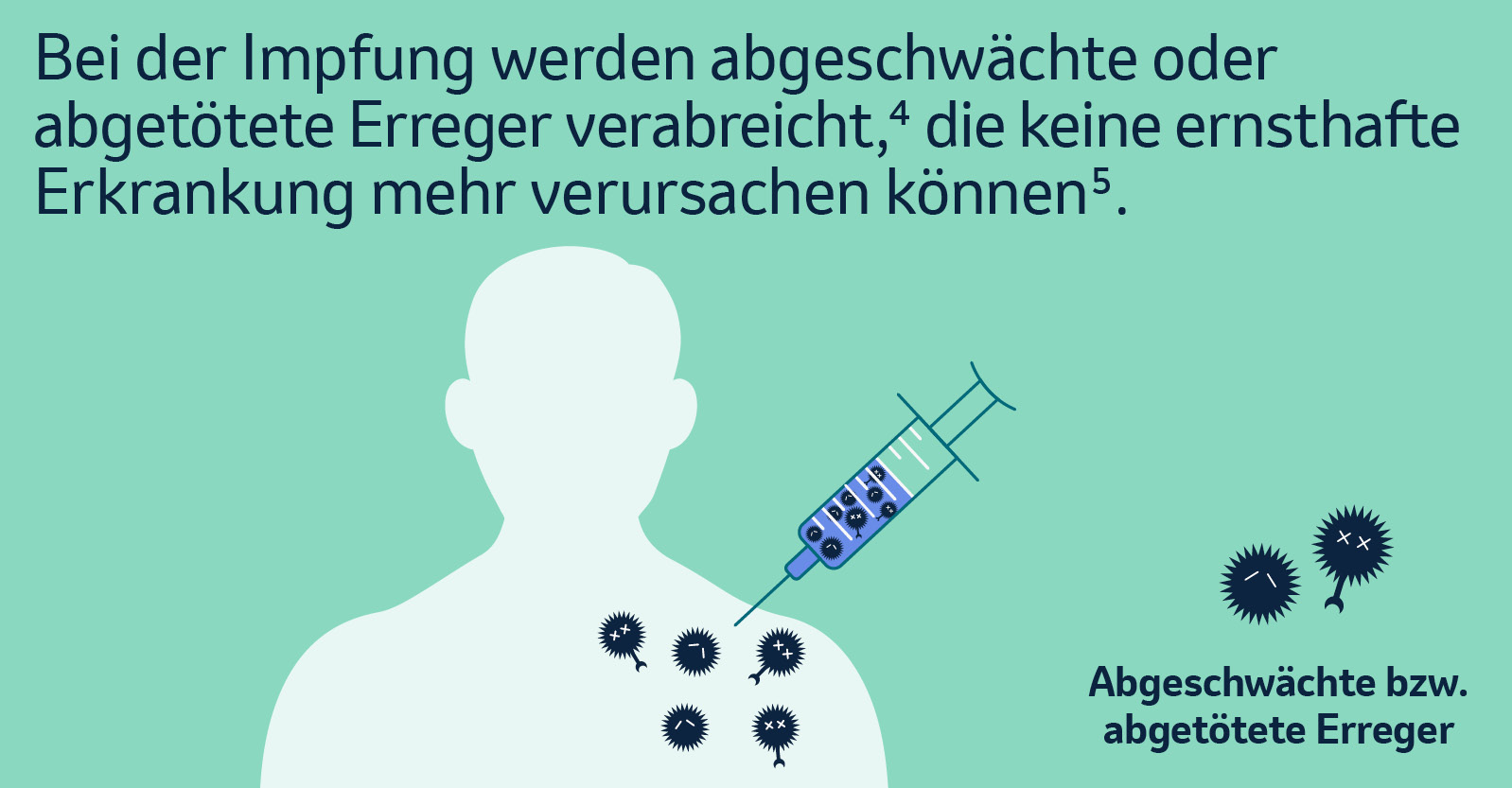 Bei der Impfung werden abgeschwächte oder abgetötete Erreger verabreicht, die keine ernsthafte Erkrankung mehr verursachen können.