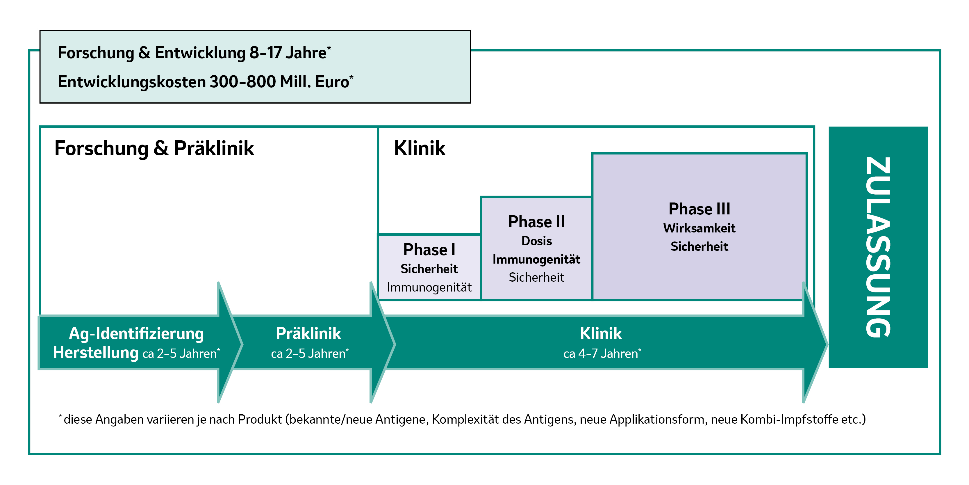 Grafische Darstellung der Phasen in der Impfstoffentwicklung sowie der Dauer von der Forschung bis zur Zulassung.