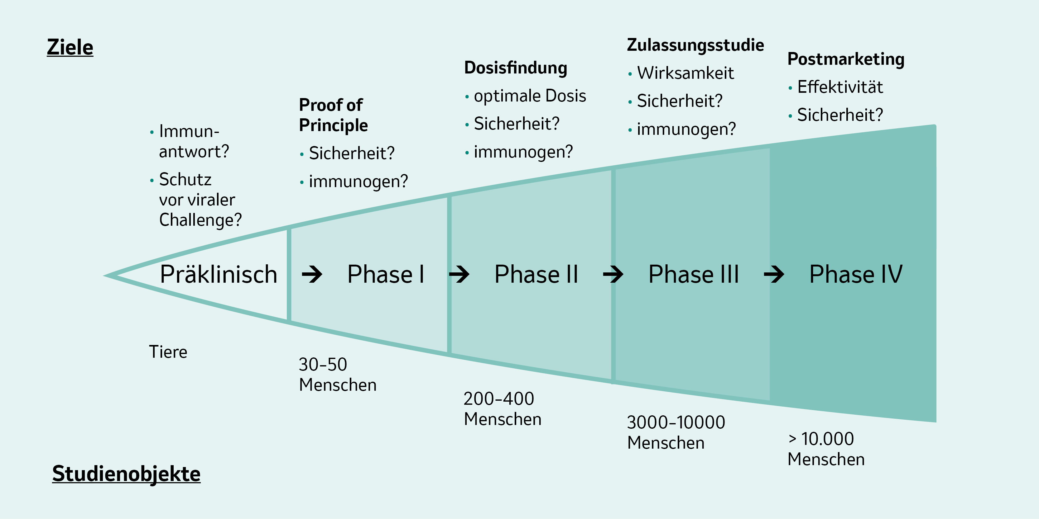 Grafische Darstellung der Ziele sowie der Anzahl und Art der Studienobjekte in den einzelnen Phasen der Impfstoffentwicklung.