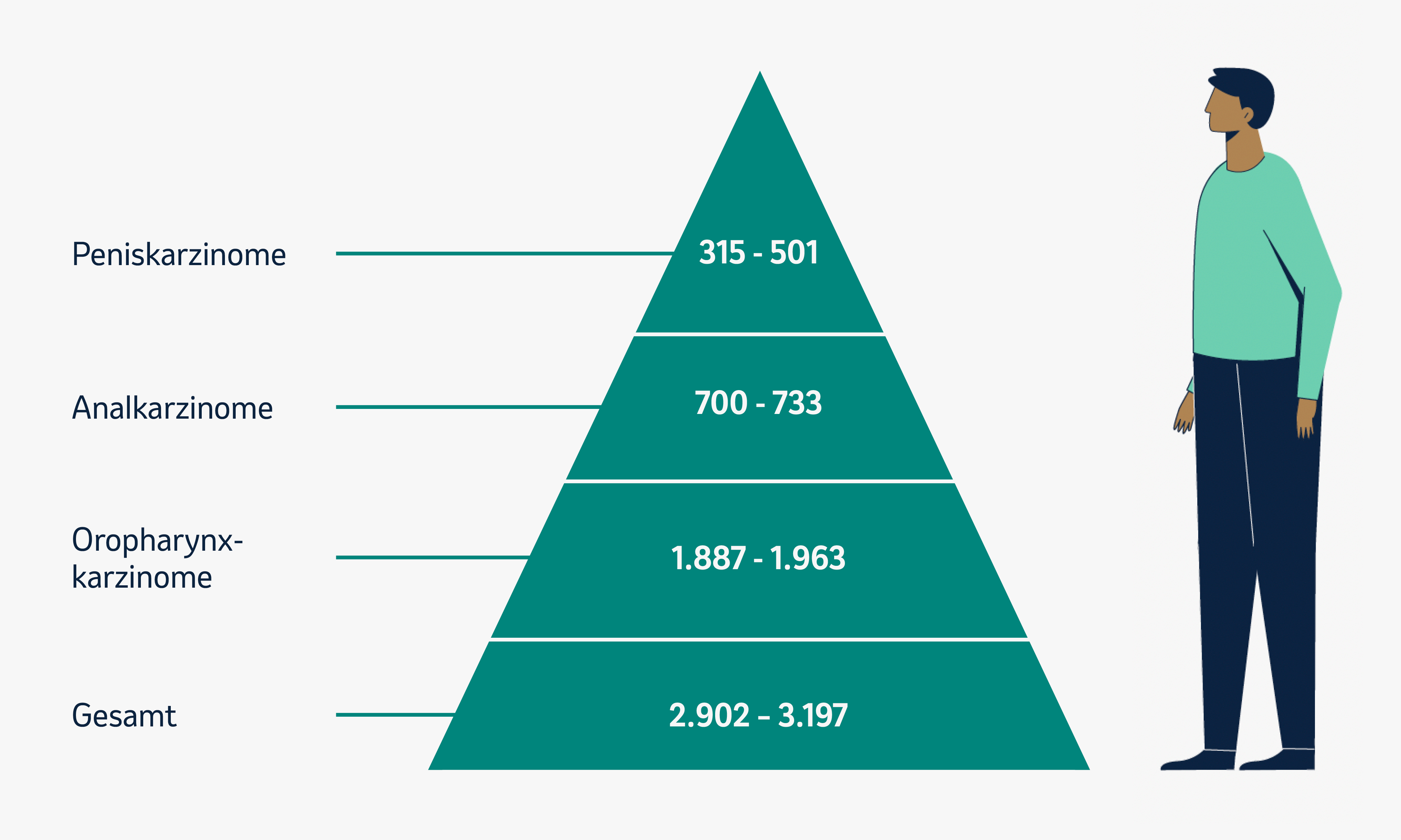 Abbildung 2: Die Abbildung zeigt eine Pyramide, die HPV-assoziierte Erkrankungen und ihre Häufigkeiten darstellt. Die schmalste Ebene repräsentiert Peniskarzinome mit 315 – 501 Fälle. Darunter folgen Analkarzinome (700 – 733 Fälle), Oropharynxkarzinome (1.887 – 1.963 Fälle) und die Gesamtzahl an Karzinomen bei Männern (2.902 – 3.197 Fälle), jeweils mit zunehmender Breite. Neben der Pyramide steht eine stilisierte männliche Person zur Veranschaulichung.
