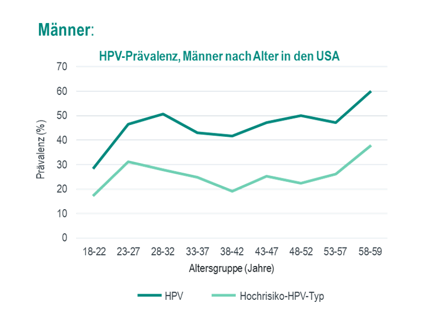Das Diagramm zeigt die Prävalenz von HPV (Humanes Papillomavirus) bei Männern in den USA in Abhängigkeit vom Alter. Die x-Achse zeigt die Altersgruppen (in Jahren), die in Intervalle wie 18–22, 23–27 usw. unterteilt sind. Die y-Achse zeigt die Prävalenz in Prozent. Es sind zwei Kurven dargestellt: Die obere dunkelgrüne Kurve HPV (allgemeine Prävalenz aller HPV-Typen) zeigt den Prozentsatz von Männern in verschiedenen Altersgruppen, die mit HPV infiziert sind. Die untere hellgrüne Kurve Hochrisiko-HPV-Typ zeigt die Prävalenz von HPV-Typen, die als Hochrisiko-Typen gelten.