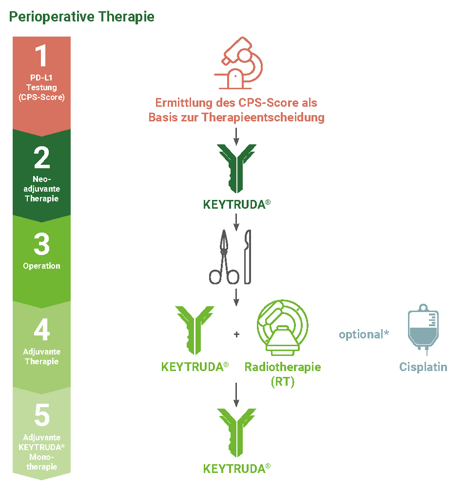 Schematische Darstellung der perioperativen Therapie beim LA HNSCC (PD-L1 CPS ≥ 1): Ausgangspunkt ist die PD-L1-Testung mit Bestimmung des CPS-Scores als Grundlage der Therapieentscheidung. Es folgen neoadjuvante KEYTRUDA®-Therapie, Operation sowie adjuvant KEYTRUDA® plus Radiotherapie (optional mit Cisplatin) und anschließend eine adjuvante KEYTRUDA®-Monotherapie. Links sind die fünf Therapieschritte nummeriert dargestellt. Abb. erstellt von MSD nach Fachinformation KEYTRUDA®.1